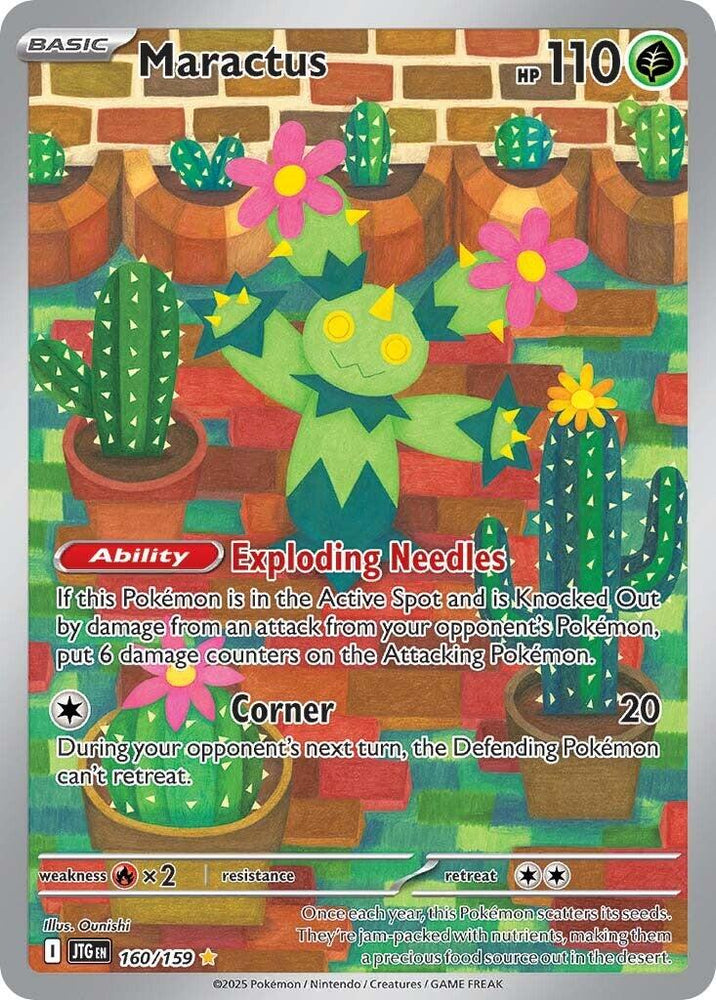 Maractus - 160/159