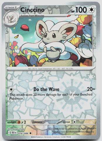 Cinccino