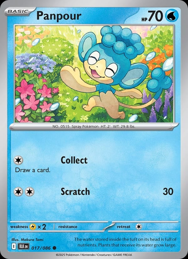 Panpour (Master Ball Pattern)