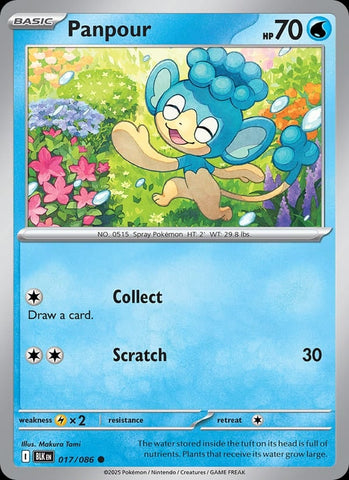 Panpour (Master Ball Pattern)